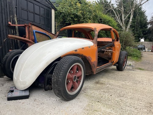 Beetle body and - beetle,
